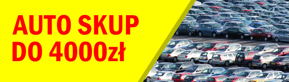 skup aut do 4000zł Gniezno i okolice